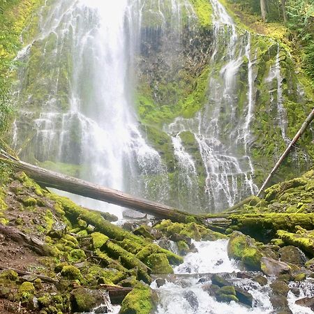 Mckenzie River Mountain Resort Blue River Kültér fotó