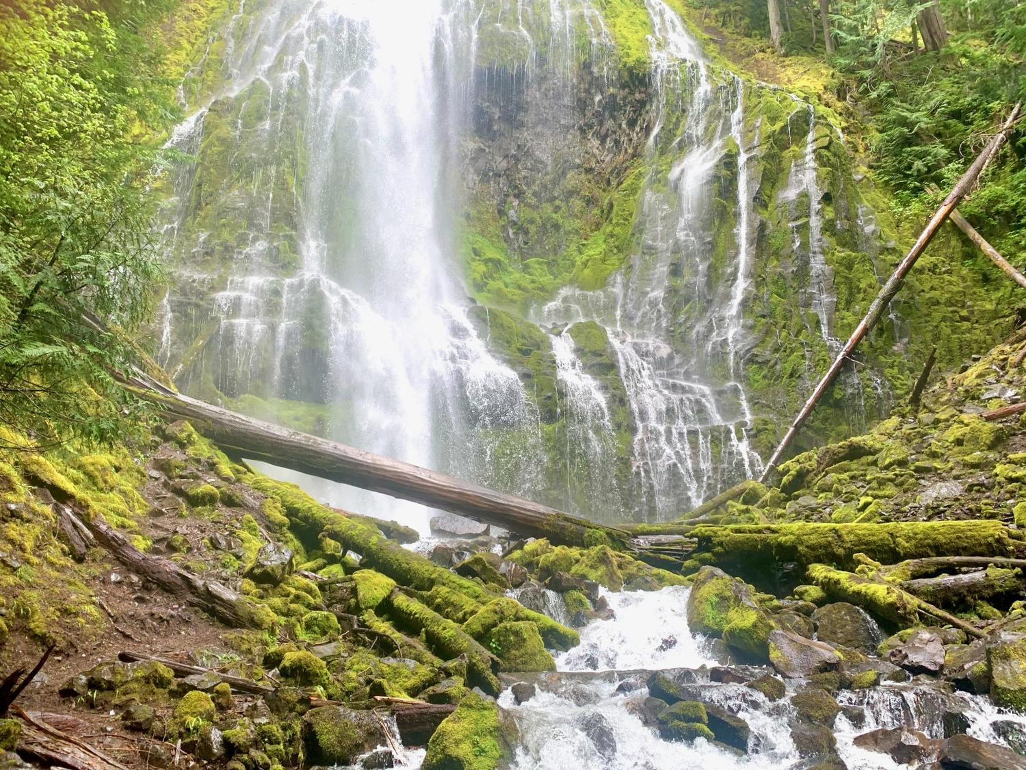 Mckenzie River Mountain Resort Blue River Kültér fotó