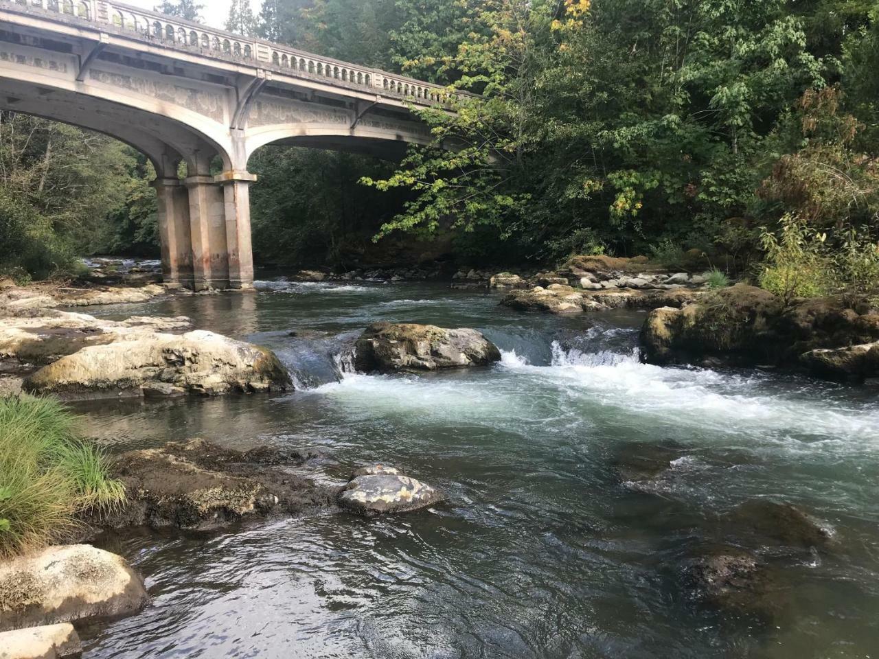 Mckenzie River Mountain Resort Blue River Kültér fotó